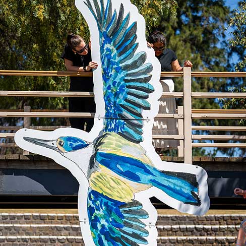 BDM MEL DEC 2024 BlakeWalshe Installation 03