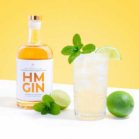 HMGin 2
