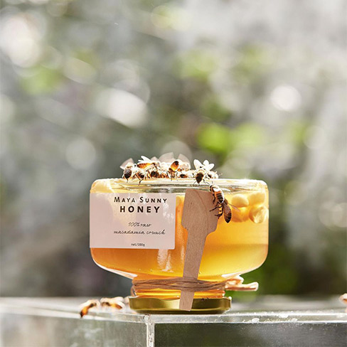 Maya Sunny Honey 2 
